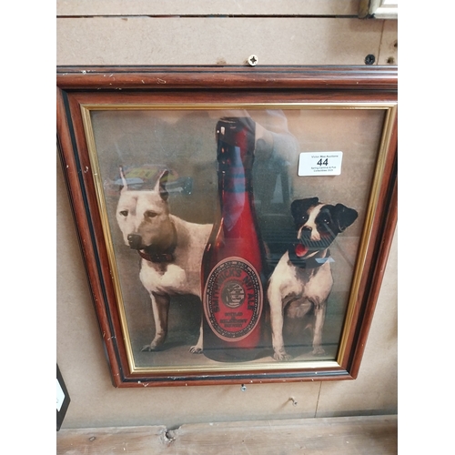 Lot 44        