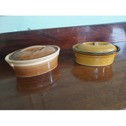 Lot 24        