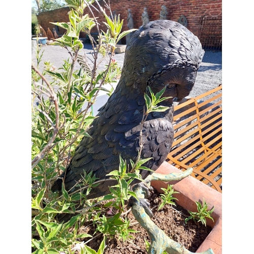 412 - Exceptional quality bronzed statue of an Owl {59 cm H x 52 cm W x 50 cm D}.