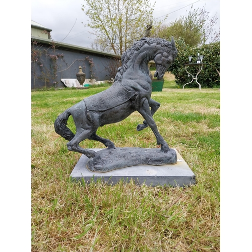 Lot 23        