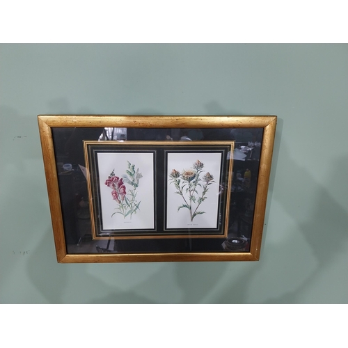 Lot 28        