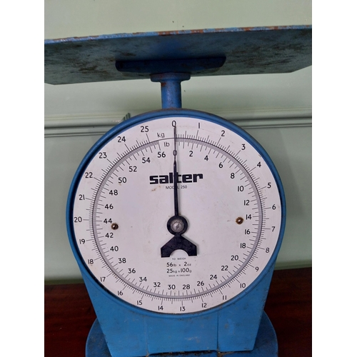 44 - 1950's Salter's shop scales {38 cm H x 36 cm W x 23 cm D}.
