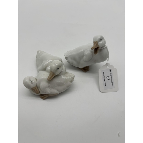 Lot 29        