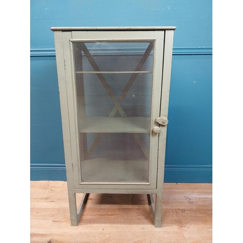 979 - Early 20th C. painted pine side cabinet with single long door with mesh inset and partial mesh side ... 