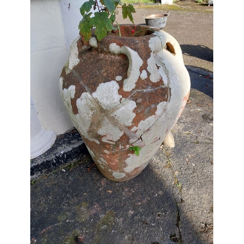 1 - Pair of 19th. C. terracotta urns. { 80cm H X 61cm Dia }.