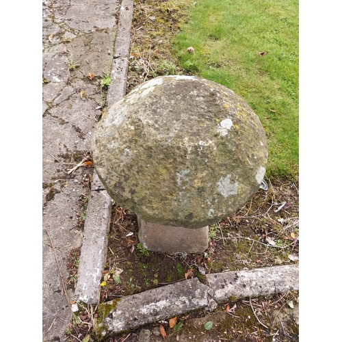33 - 19th. C. sandstone staddle stone. { 63cm H X 40cm Dia. }.