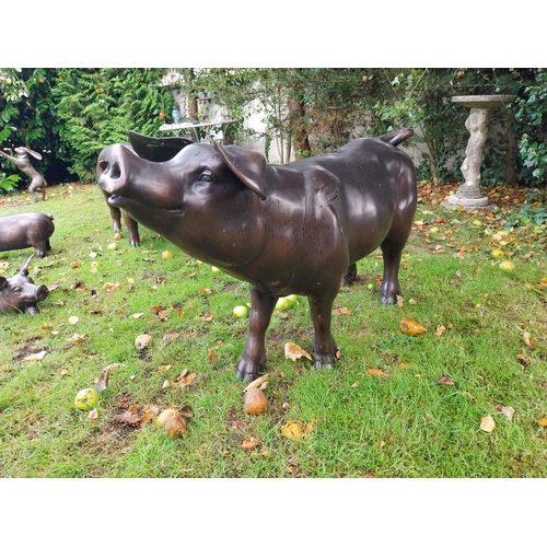 66 - Good quality bronze sculpture of a male Pig. { 68cm H X 126cm W X 36cm D }.