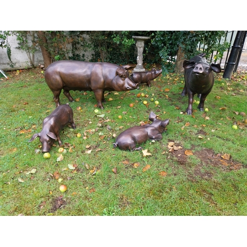 67 - Good quality bronze sculpture of a female Pig. { 56cm H X 130cm W X 35cm D }.