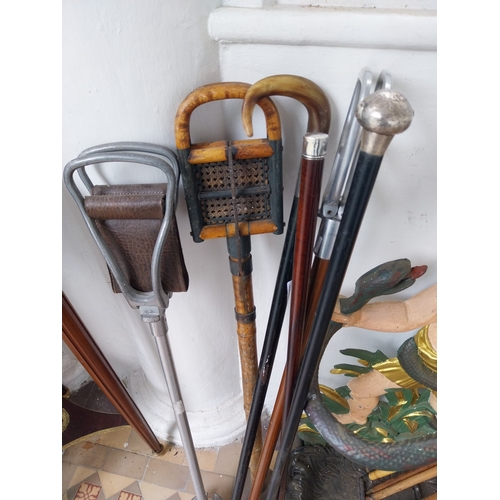 73 - Collection of six 19th. C. & early 20th. C. walking and shooting sticks. { 90cm H }.