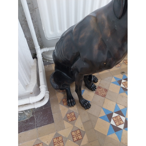 77 - Good quality bronze model of a seated Whippet { 84cm H X 33cm W X 58cm D }.