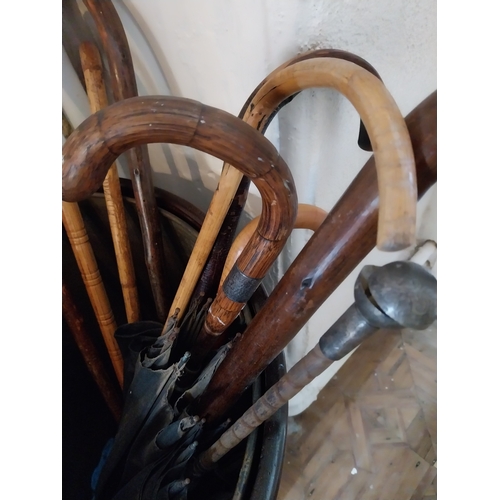 82 - Collection of ten 19th. C. & later walking sticks and umbrellla. { 90cm H }.