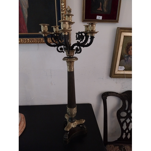 88 - Pair of good quality bronze gilded brass five branch candlabra. { 73cm H X 30cm Dia }.