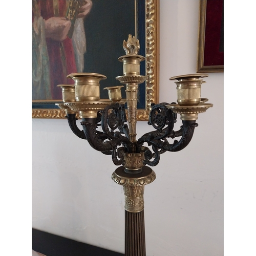 88 - Pair of good quality bronze gilded brass five branch candlabra. { 73cm H X 30cm Dia }.