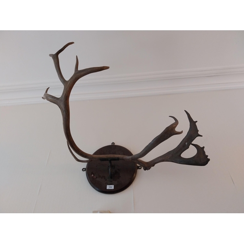 Lot 1030      