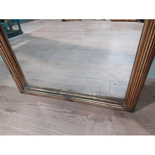 58 - Early 20th C. French gilt pier mirror. {180 cm H x 50 cm W}.