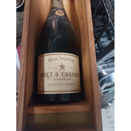 9 - Moet et Chandon Champagne bottle in wooden case display model. {46 cm H x 15 cm W x 16 cm D}.