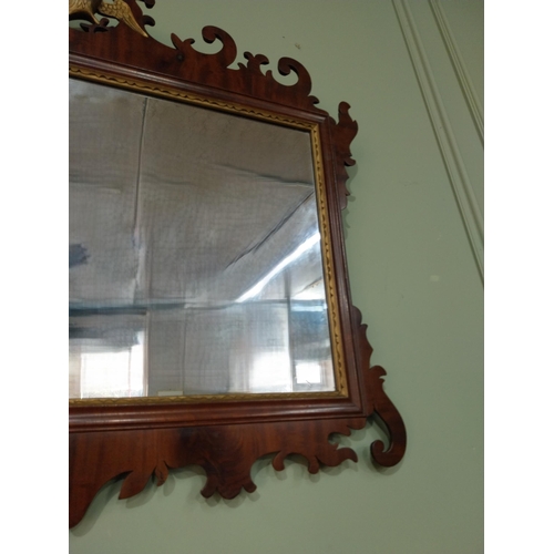 79 - Edwardian partial gilt and mahogany wall mirror in the Chippendale style. {60 cm H x 70 cm W}.