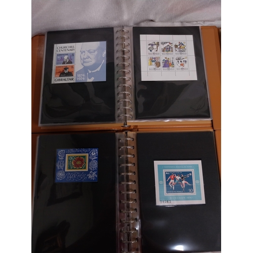 598 - Four albums of Europa Blocks of stamps 1973 - 1974,1974, 1974 - 1975 & 1975.