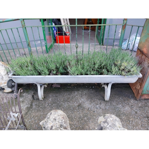 1200 - Early 20th C. galvanised planter on shaped legs. {64 cm H x 206 cm W x 66 cm D}.