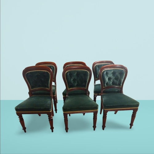 125 - Set of six Victorian mahogany and upholstered dining room chairs on turned legs and brass castors. {... 