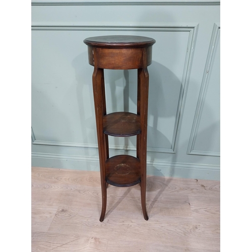 364 - Edwardian mahogany torchere on square legs. {104 cm H x 42 cm Dia.}