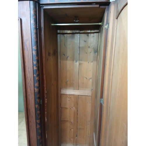 380 - Irish George III style triple fern ware wardrobe flanked by two doors with internal brass clothes ra... 