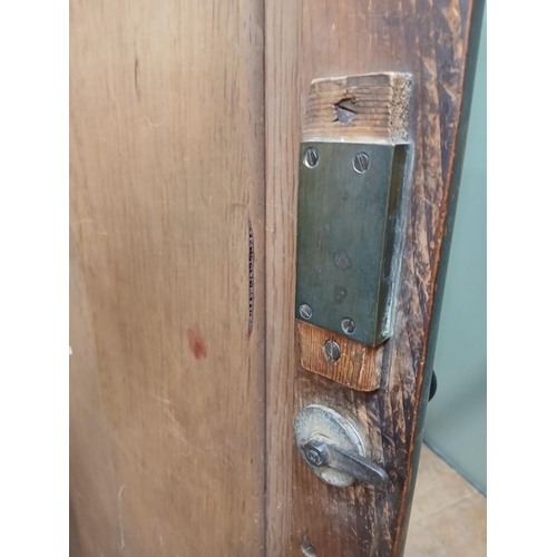 380 - Irish George III style triple fern ware wardrobe flanked by two doors with internal brass clothes ra... 