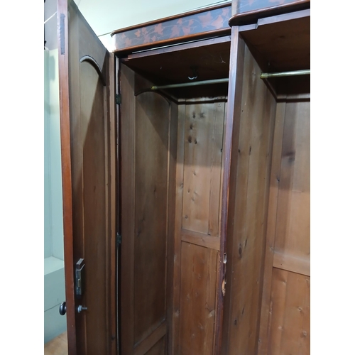 380 - Irish George III style triple fern ware wardrobe flanked by two doors with internal brass clothes ra... 