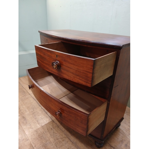 40 - Georgian mahogany bowfronted chest of drawers with two short drawers over three long drawers on turn... 