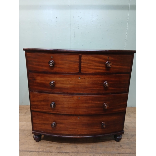 40 - Georgian mahogany bowfronted chest of drawers with two short drawers over three long drawers on turn... 