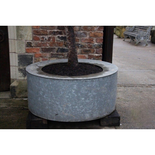 11 - Large circular galvanised planter salvaged from a roof top garden in Chelsea London. {53 cm H x 120 ... 