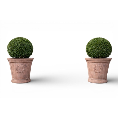 15 - Pair of moulded terracotta planters decorated with wreaths. {51 cm H x 52  cm Dia.}.