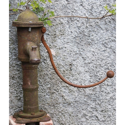 20 - 19th C.  Irish cast iron long-tailed water pump with original stone trough. {70 cm H x 63 cm W x 33 ... 
