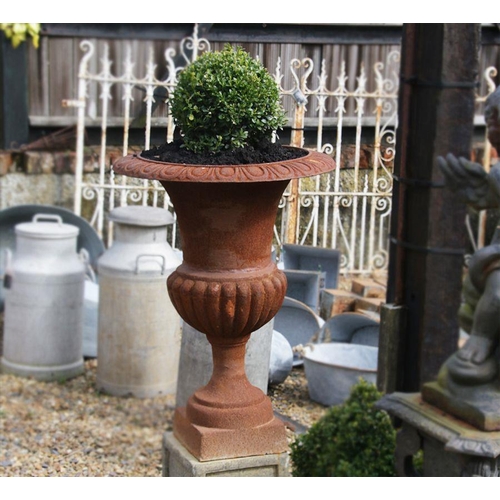 46 - Pair of period style cast iron urns sitting on a small square stone plinth. (Plants not included). {... 