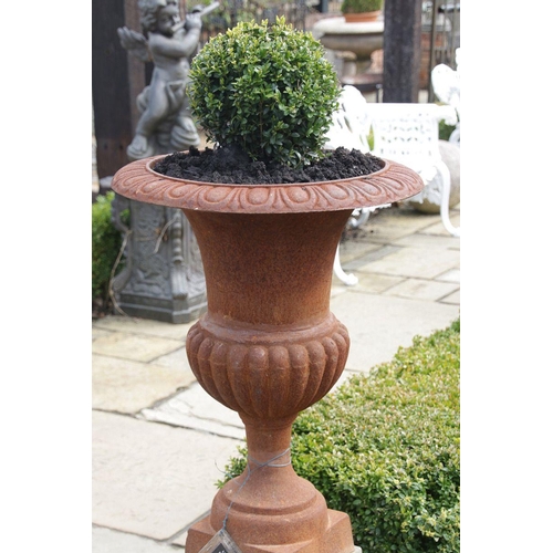 46 - Pair of period style cast iron urns sitting on a small square stone plinth. (Plants not included). {... 