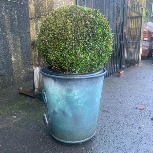 1A - Large Ashford galvanised round riveted planter with ring handles with verdigris finish. {61.5 cm H x... 