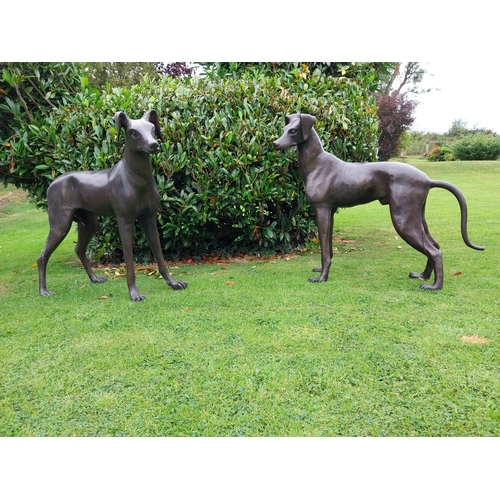 8 - Pair of good quality bronze sculptures  of whippets { H 97cm x W 110cm x D 40cm and H 87cm x W 103cm... 