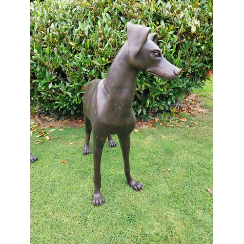 8 - Pair of good quality bronze sculptures  of whippets { H 97cm x W 110cm x D 40cm and H 87cm x W 103cm... 