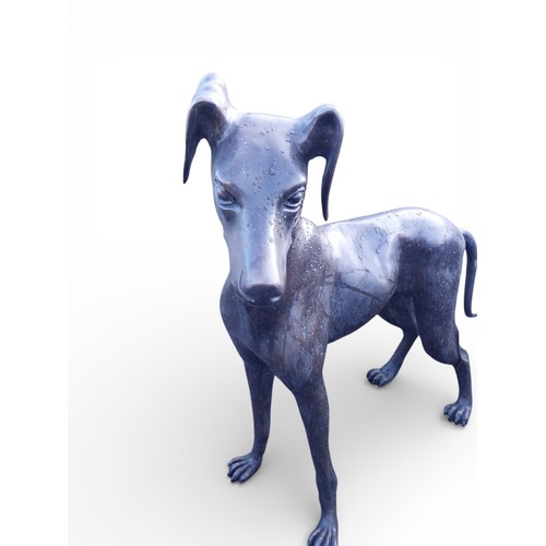 8 - Pair of good quality bronze sculptures  of whippets { H 97cm x W 110cm x D 40cm and H 87cm x W 103cm... 