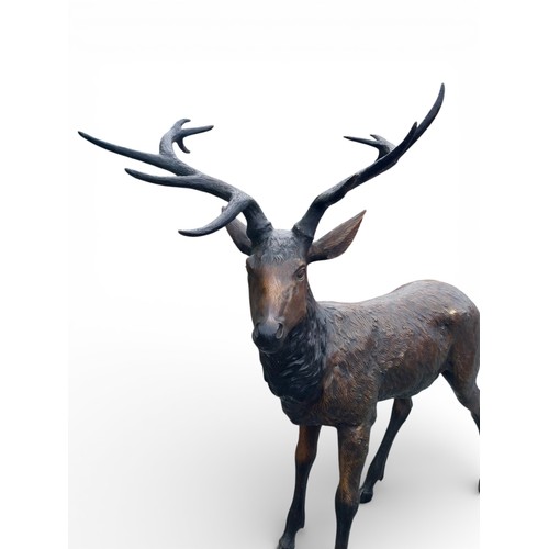 43 - Good quality bronze statue of a majestic Stag. {158 cm H x 157 cm W x 90 cm D}.
