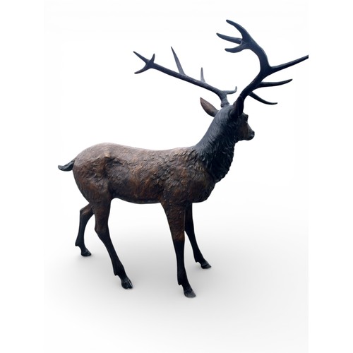 43 - Good quality bronze statue of a majestic Stag. {158 cm H x 157 cm W x 90 cm D}.