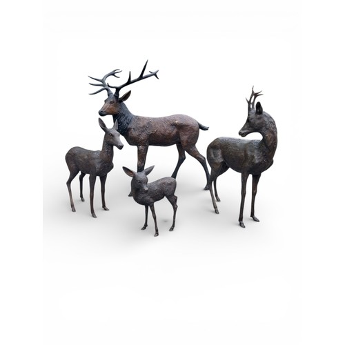43 - Good quality bronze statue of a majestic Stag. {158 cm H x 157 cm W x 90 cm D}.