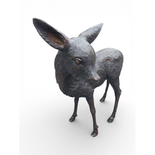 43B - Bronze statue of Fawn with head turned. {66 cm H x 52 cm W x 28 cm D}.