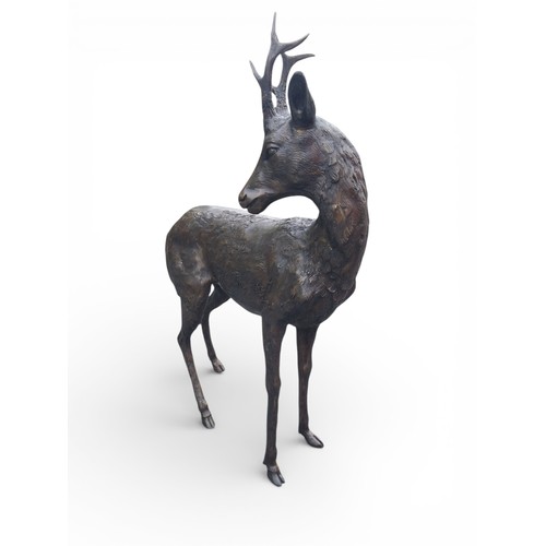 43A - Bronze statue of Doe with turned head. {123 cm H x 81 cm W x 32 cm D}.