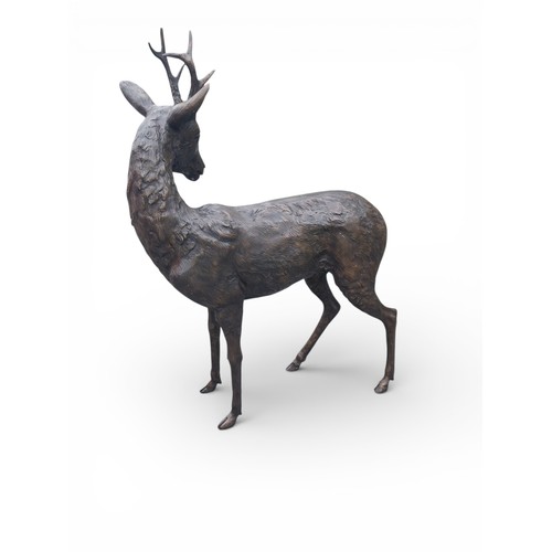 43A - Bronze statue of Doe with turned head. {123 cm H x 81 cm W x 32 cm D}.
