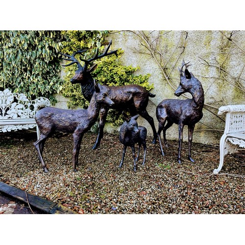 43B - Bronze statue of Fawn with head turned. {66 cm H x 52 cm W x 28 cm D}.