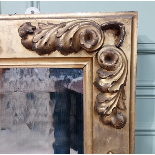 30 - William IV giltwood overmantle decorated with acanthus leaves. {144 cm H x 183 cm W}.