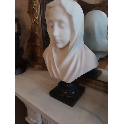 46 - Pair of Carrara marble busts -  
