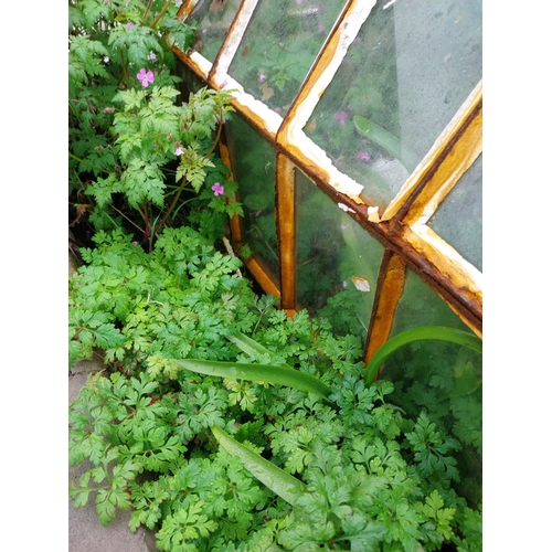 28 - Wrought iron garden cloche. {70cm H x 70cm W x 70cm D}