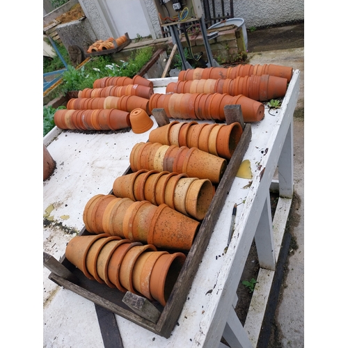30 - Large collection of terracotta pots {10cm H x 10cm Dia.}